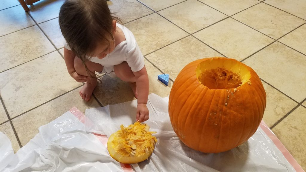 Mama Rissa's toddler picking seeds off of pumpkin top.