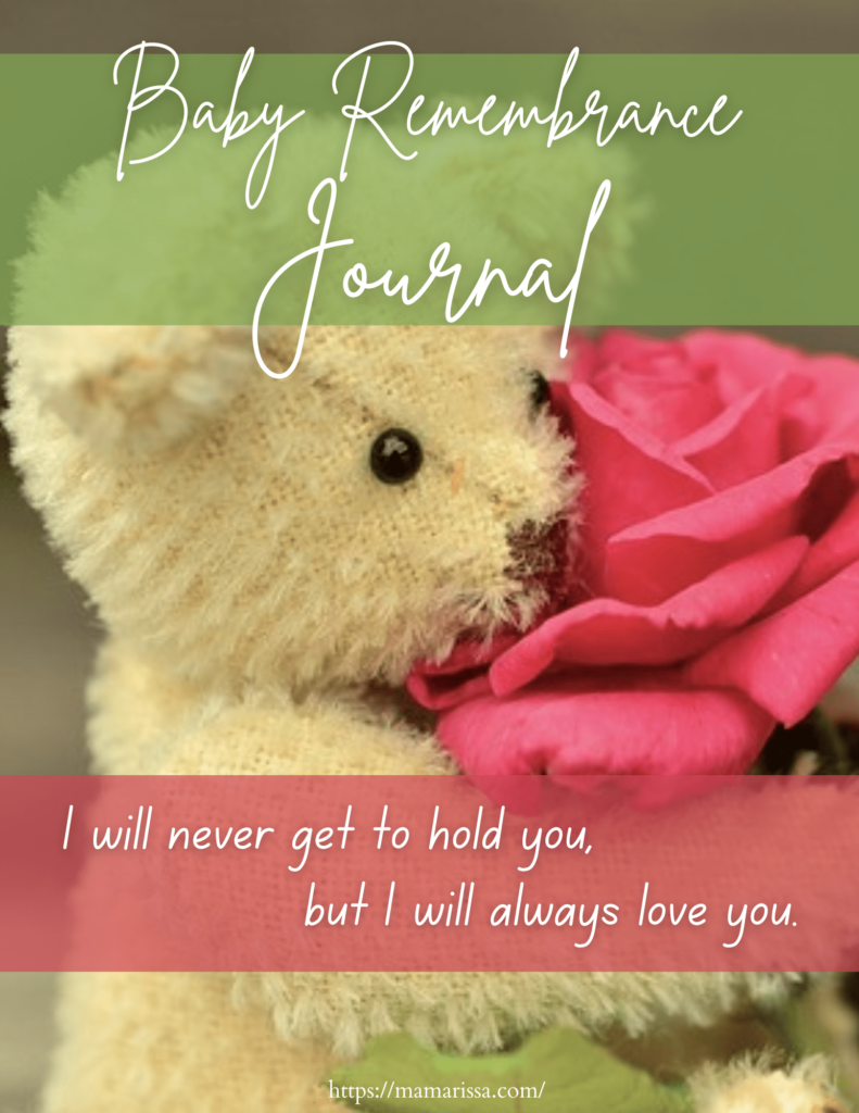 Baby Remembrance Journal

I will never get to hold you, but I will always love you